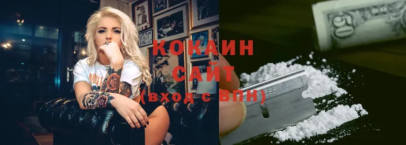 COCAIN FishScale  сколько стоит  Луга 